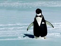 Penguin 2