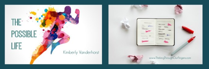 The Possible Life.jpg